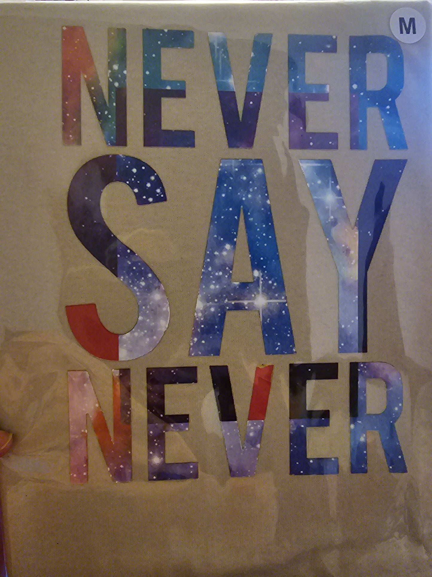 Never Say Never Handmade Graphic T Shirt