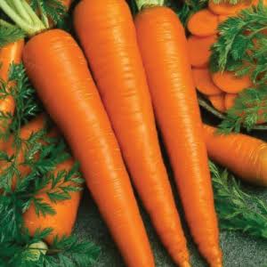 Fresh 🥕 Carrot Glow Oil For Skin